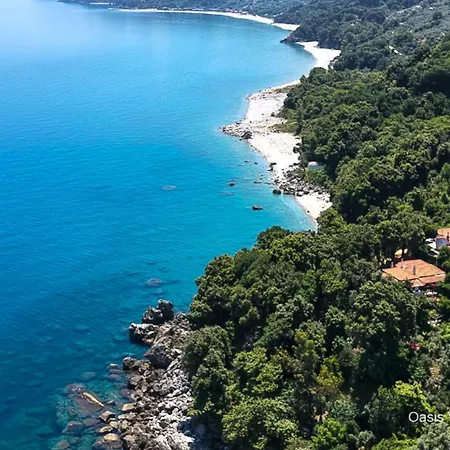 Oasis Elitsa - Pelion Pourion