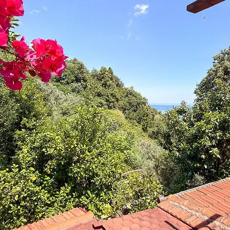 Oasis Elitsa - Pelion * Pourion